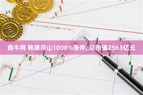 鼎牛网 韩建河山1008%涨停, 总市值2563亿元