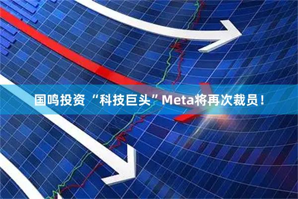 国鸣投资 “科技巨头”Meta将再次裁员！