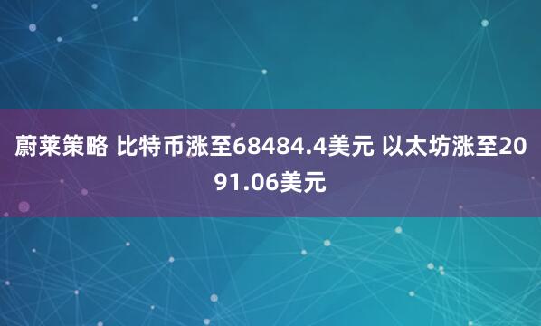 蔚莱策略 比特币涨至68484.4美元 以太坊涨至2091.06美元